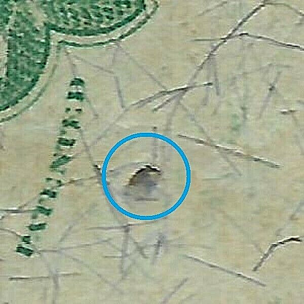 FR 1381 CRAWFORD 50 CENT FIFTH ISSUE FRACTIONAL