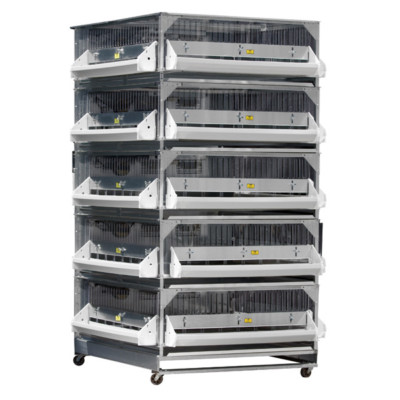 GQF 5 Stacked Grow Off Pen, One for Birds & Chicks 0705