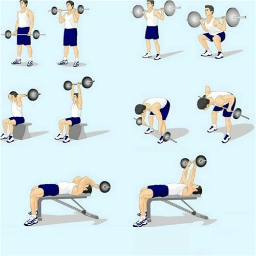 Olympic Barbell Set Dumbbell Weight Set 55lb Curl Bar for Gym Lifting Exercise