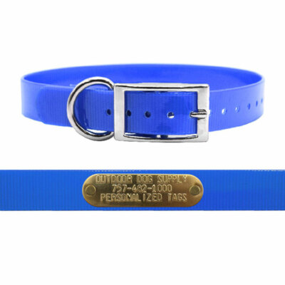 1'' Solid Premium Glow Tuff D Ring Dog Collar with Brass Name Plate