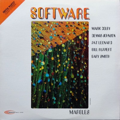 Software - Marbles (LP, Album) NM or M- - 3303476337