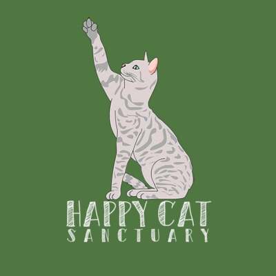 happyy cat Inc