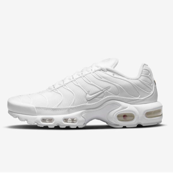 Женские кроссовки Nike Air max Plus Pure Platinum DM2362-100 Expeditedship