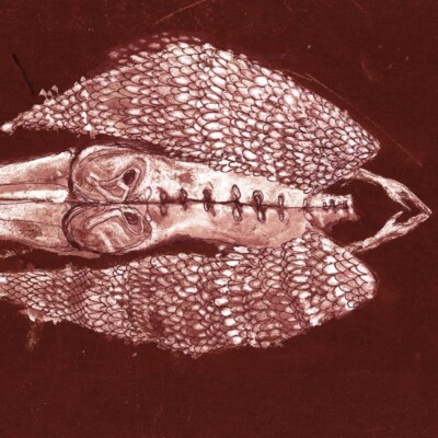 CERBERUS SHOAL - HOMB (ANNIVERSARY EDITION)  2 VINYL LP NEW