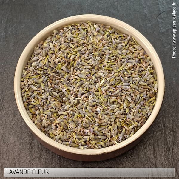 Lavande Fleur - Recharge :