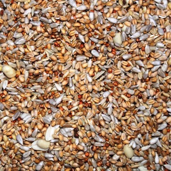25kg FutterXL Wildvogelfutter ohne Schalen, Streufutter, Vogel, 100% Verwertung