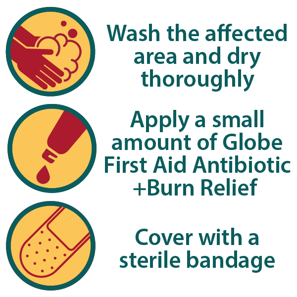 Globe (2 Pack) First Aid Antibiotic + Burn Relief, Max Strength (4 oz  total)