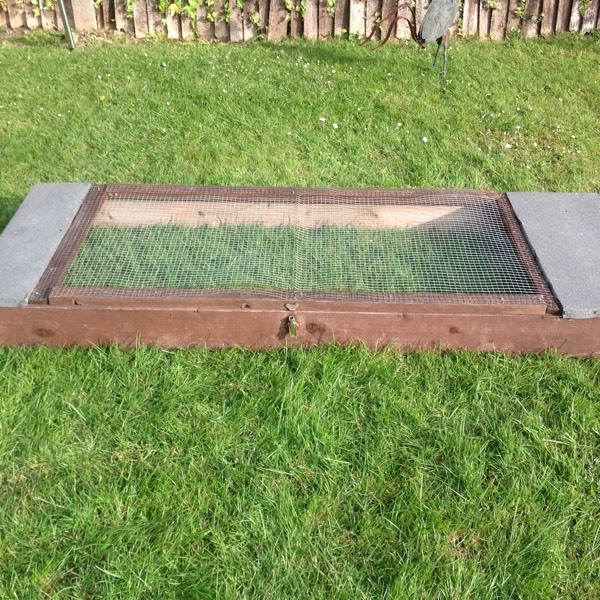 OUTDOOR TORTOISE / REPTILE RUN/ ENCLOSURE in Worcester Park, London