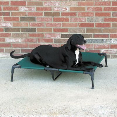 Elevated Cot