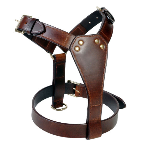 Hundegeschirre aus Leder