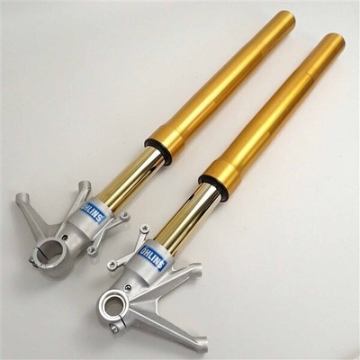 Ohlins Inverted Front Forks for DUCATI 1098S '08 Genuine