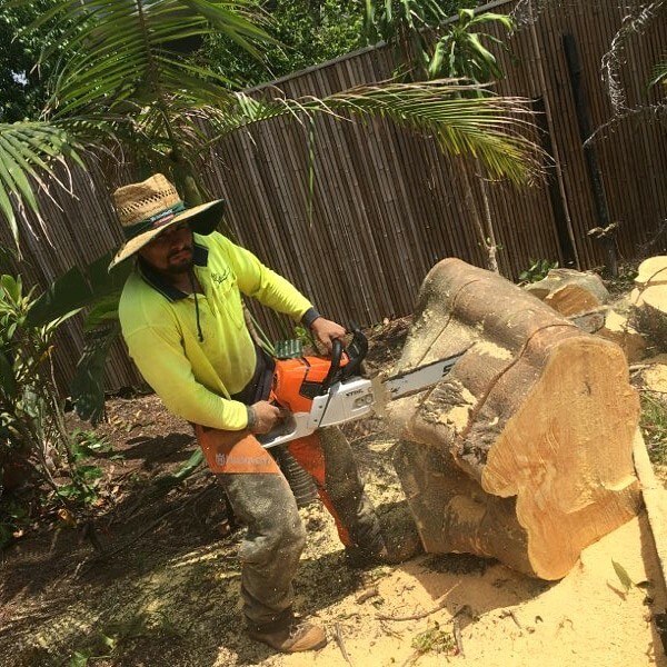 Tree removal | Landscaping & Gardening | Gumtree Australia Brisbane