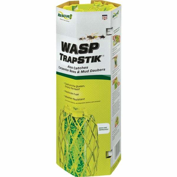 Tik Sticky Wasp Carpenter Bee Trap Mud Dauber