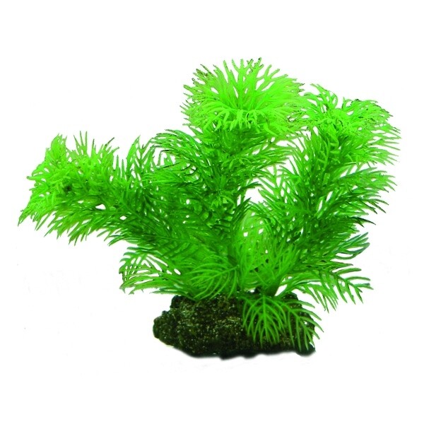 Hobby Egeria 13 cm, täuschend echt aussehende Aquarienpflanze