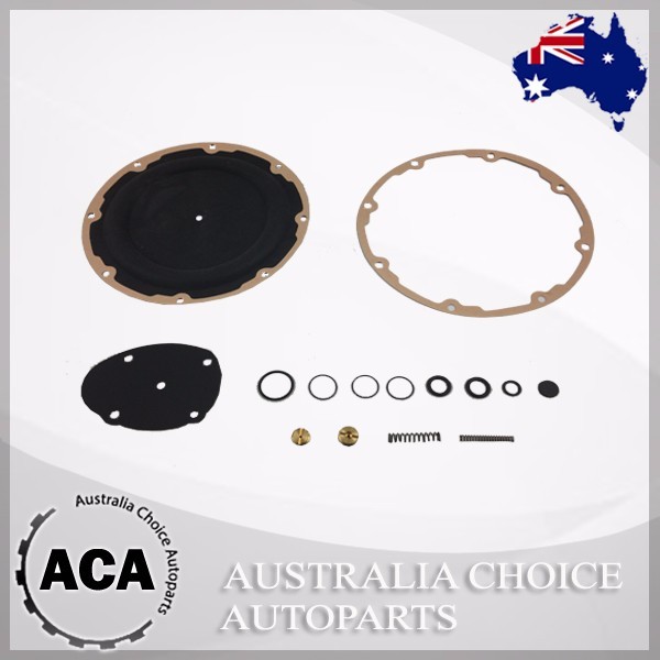 Brand New Landi Se81 Lpg Gas Convertor Repair Kit