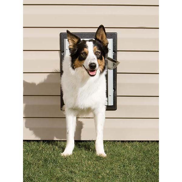 PetSafe Wall Entry Aluminum Dog Door Double ...