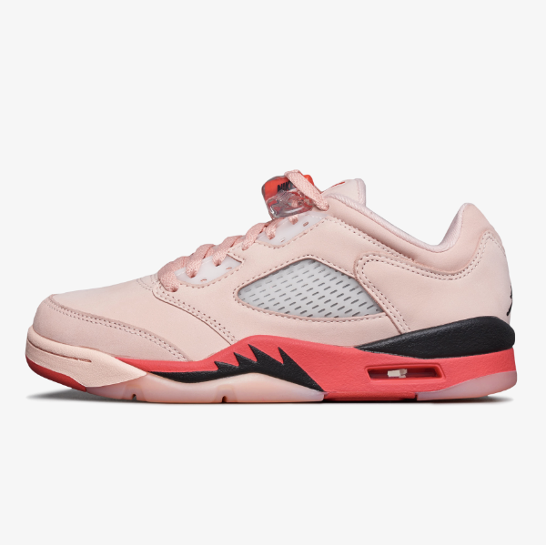 

Женские кроссовки Nike Air Jordan 5 в стиле ретро «Girls That Hoop» (DA8016-806), Arctic orange, Air Jordan 5