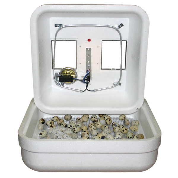 NEW GQF  1602N - Thermal Air Hova-Bator Incubator Best Hatching Chicken Eggs USA
