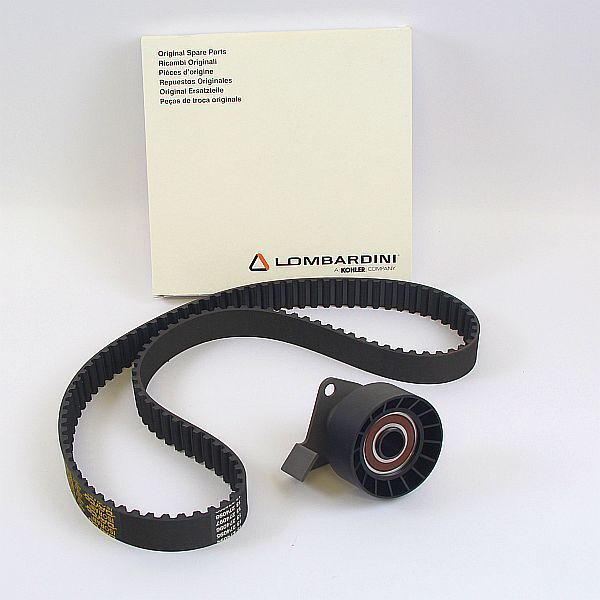 Lombardini Zahnriemen+Spannrolle Motor LDW 502 Ligier Microcar 108 Zähne
