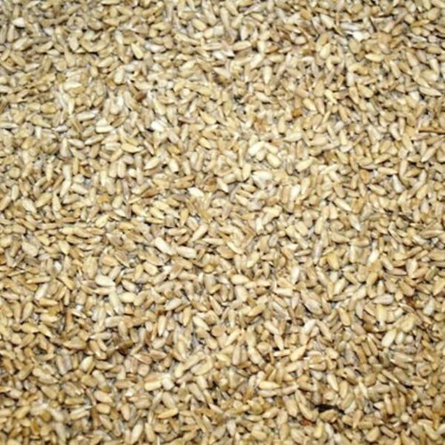 Aimé Wildvogelfutter – 1 Kg Sonnenblumenkerne – Perfekt Für Rotkehlchen, Meisen & Finken – Umweltfreundliches Winterfutter Aus Frankreich