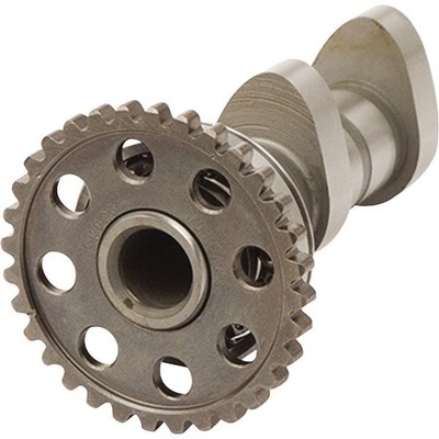 Hot Cams - 4165-2IN - Stage 2 Intake Camshaft