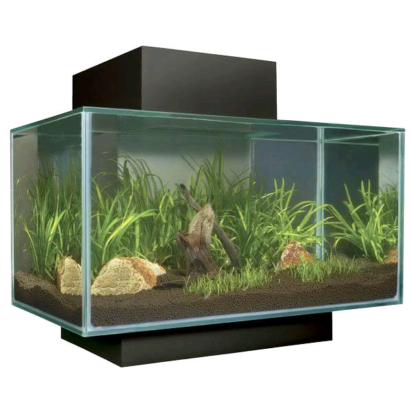 Fluval Edge 23L Aquarium Black | in Poole, Dorset | Gumtree