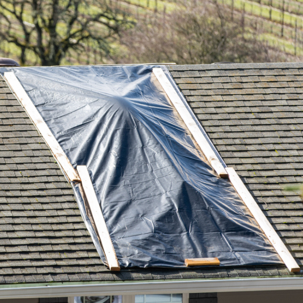 Farm Plastic Supply - Poly Cover Black Polyethylene Plastic Sheeting