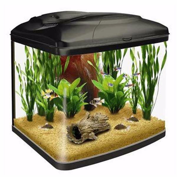 Interpet fish box 48 litre fish tank in Armthorpe, South Yorkshire
