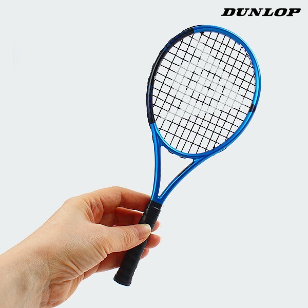DUNLOP FX500 グリップサイズ2 DUNLOP FX500 テニスラケット グリップ2 300g テニスラケット