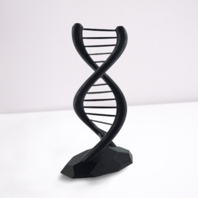 DNA Double Helix Science Gifts 3D Printed Teacher Gift