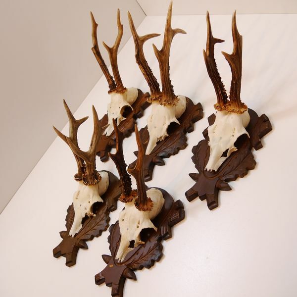 5 Deer Antlers Deer Horns On Carved Trophy Shields Decor Shield Ebay