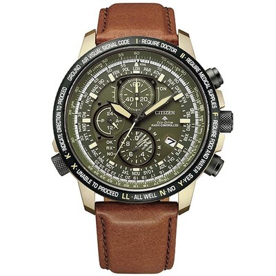 CITIZEN PROMASTER Eco-Drive AT8194-11X Black Titanium Men's Watch New in Box