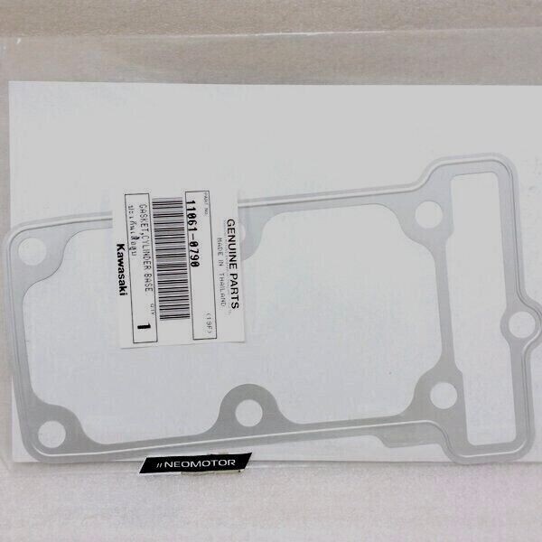 Genuine THAILAND OEM Kawasaki Versys X 300 Cylinder Base
