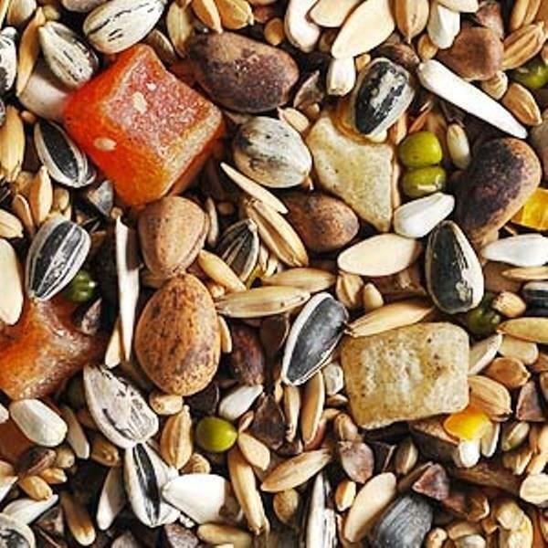 15kg Garvo 5318 Papageienfutter mit Obst & Nüssen, Papagei