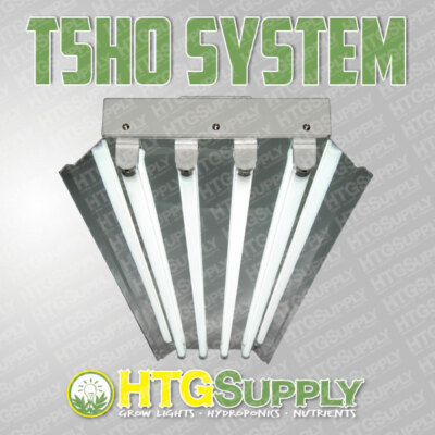 System W/ 3000k Bloom Bulbs 4-foot Ft