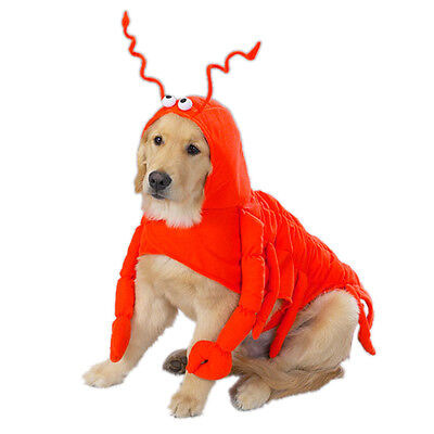 Lobster Claws Paws Dog Puppy Orange Costume Party Halloween Plush MEDIUM