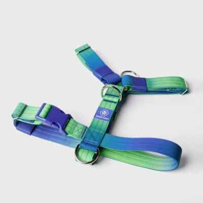 NEW Spark Paws Comfort Control No-Pull Dog Harness Size S Live Wave