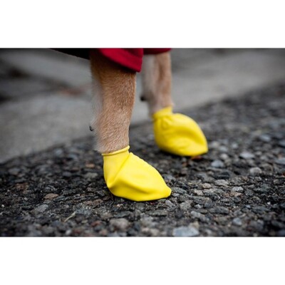 Pawz - Scarpe per proteggere le zampe dei cani (taglie Chihuahua e Cocker)