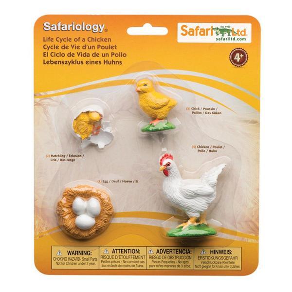 Жизненный цикл куриных фигурок Safari Ltd НОВЫЕ игрушки Детские развивающие животные
