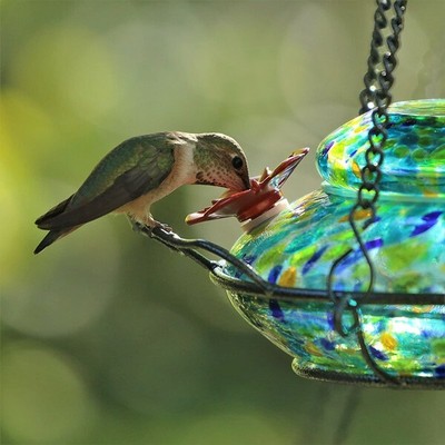 Nature's Way LED Illuminated Hummingbird Feeder