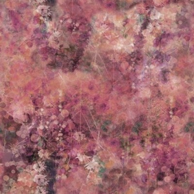 Hoffman Jewel Basin by McKenna Ryan MRD25 160 Spice Cotton BTY