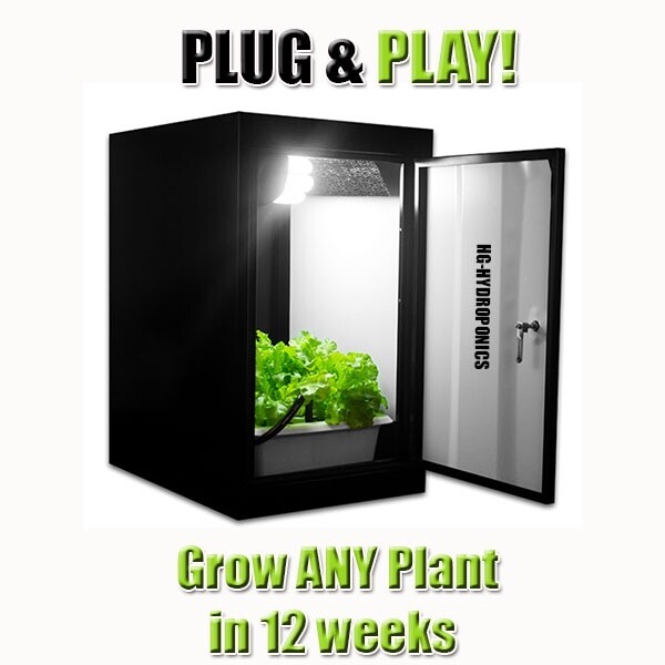 Grow box cabinet | in Plaistow, London | Gumtree