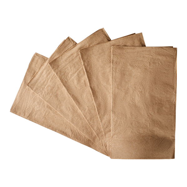 Karat 15"x17" 2 Ply Dinner Napkins - Kraft - 3,000 ct, KN-D1517-2K
