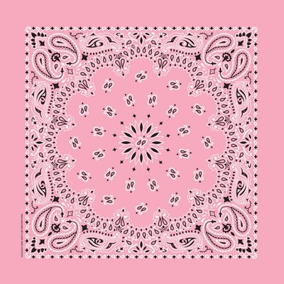 HAV-A-HANK PAISLEY Cotton BANDANA SCARVE Head WRAP SCARF Hanky Hankie BANDANNA