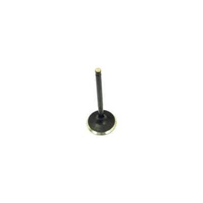 Valve OD=28mm L=66mm Fits GY6125, GY6150, + others. Check specs before ordering.