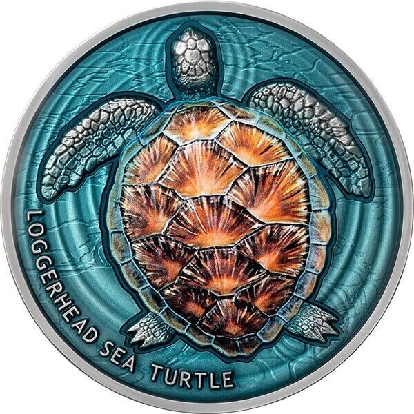 Loggerhead Sea Turtle Lifelong Journey 2 oz Antique finish Silver Coin 2023 Niue