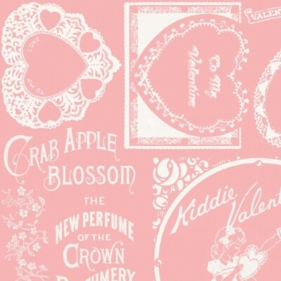Riley Blake Be Mine Valentine by Janet Wecker-Frisch C12784 Pink Frames  Cotton