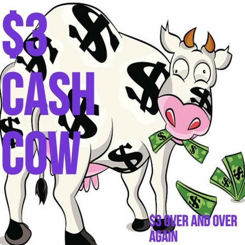 Business Opportunity Make Money Online Work from Home