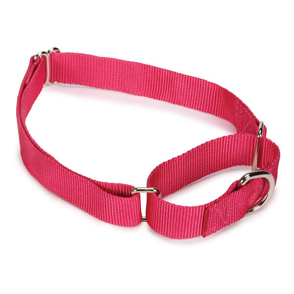 ️ Bulk Martingale Dog Collars Shelter Rescue Litter Pick Size Quantity
