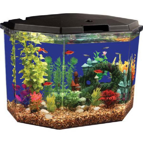 Lighting Aqua Culture SemiHex 6.5 Gal Aquarium ...